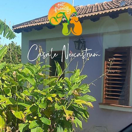 Azienda Agricola Neocastrum Lamezia Terme Ngoại thất bức ảnh