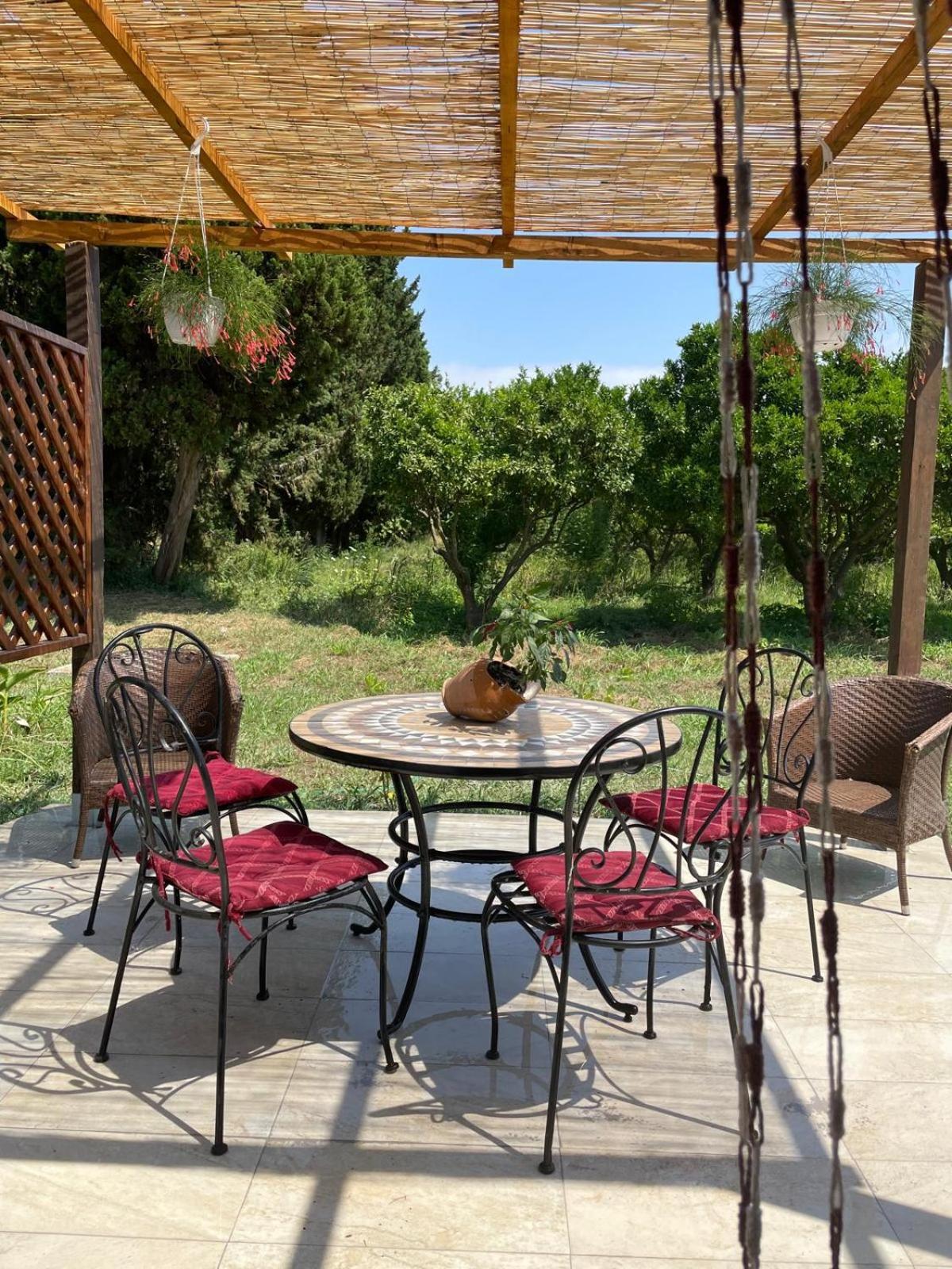 Azienda Agricola Neocastrum Lamezia Terme Ngoại thất bức ảnh